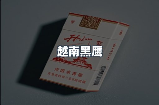越南黑鹰